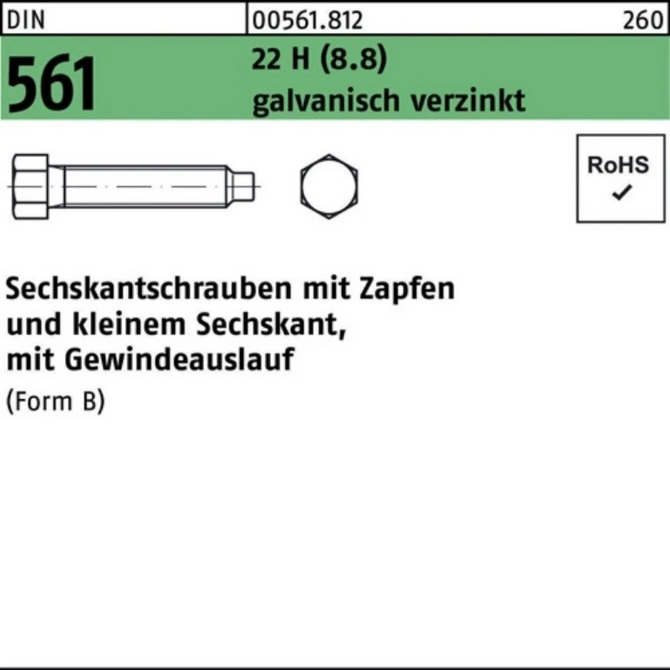 Reyher Sechskantschraube 005618120160050 DIN 561 mit Zapfen BM 16 x 50 22 H (8.8) SW19