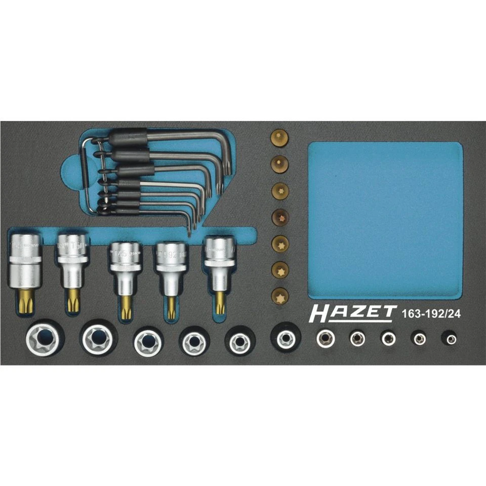 HAZET Steckschlüsseleinsatz-Satz TORX 163-192/24 24-teilig mit Schaumstoffeinlage