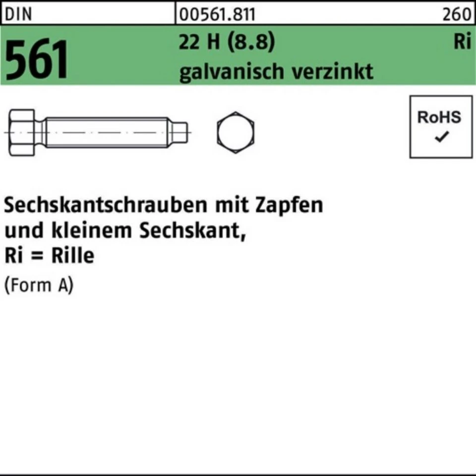 Reyher Sechskantschraube 005618110300070 DIN 561 mit Zapfen AM 30 x 70 galvanisch verzinkt