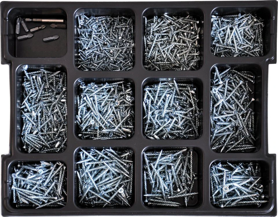 PARCO Schrauben-Set 2750 Stück Senkkopfschrauben Torx mit Fräsrippen 6 Bits Magnethalter
