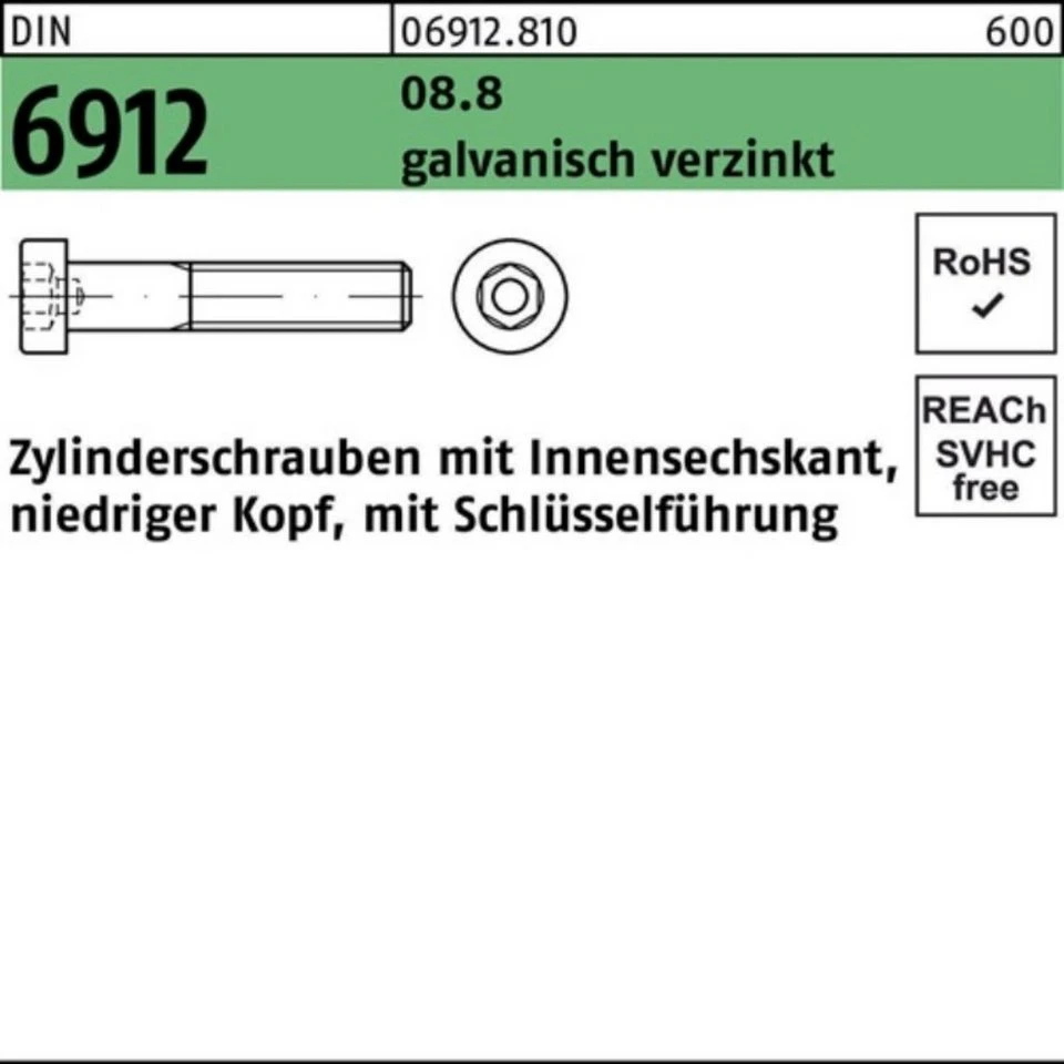 Reyher Zylinderschraube M 6 x 110 DIN 6912 Innensechskant 8.8 galvanisch verzinkt 200 Stück