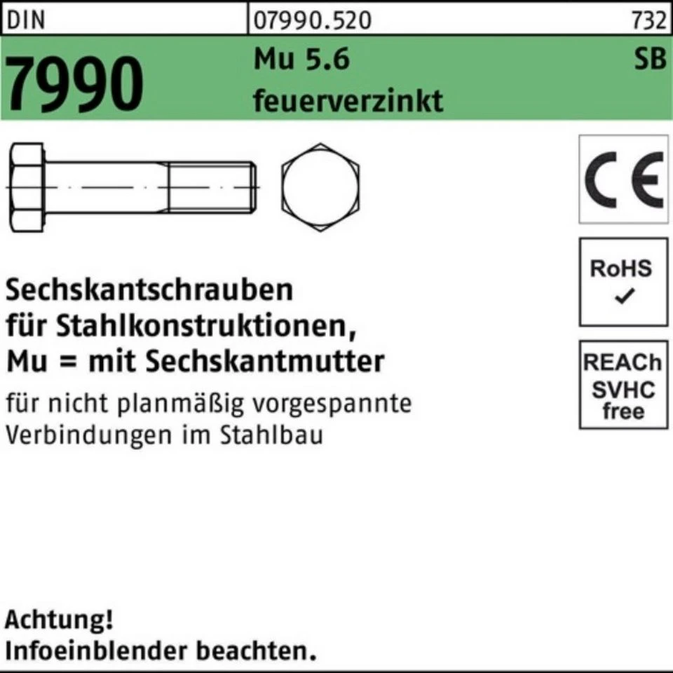 Reyher Sechskantschraube DIN 7990 CE M12x60 mit Sechskantmutter 5.6 feuerverzinkt 100 Stück